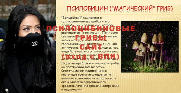 меф Алексин