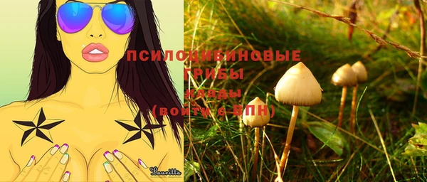 соль курить ск Новодвинск