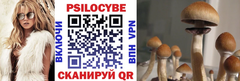 Псилоцибиновые грибы Psilocybine cubensis даркнет официальный сайт Нижние Серги