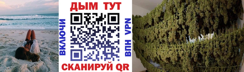 купить закладку  Нижние Серги  Конопля конопля 